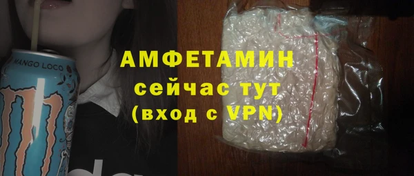 PSILOCYBIN Заводоуковск