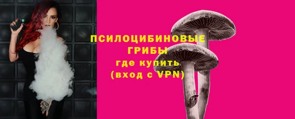PSILOCYBIN Заводоуковск