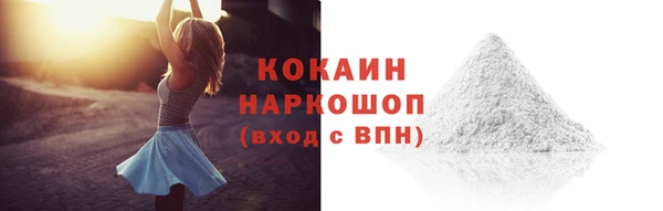 PSILOCYBIN Заводоуковск