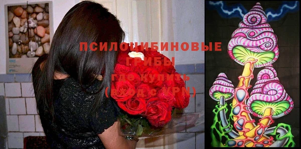прущая мука Заволжск