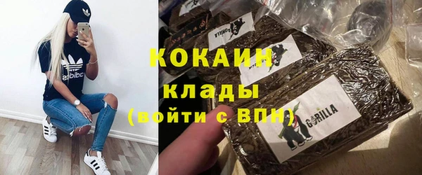 PSILOCYBIN Заводоуковск